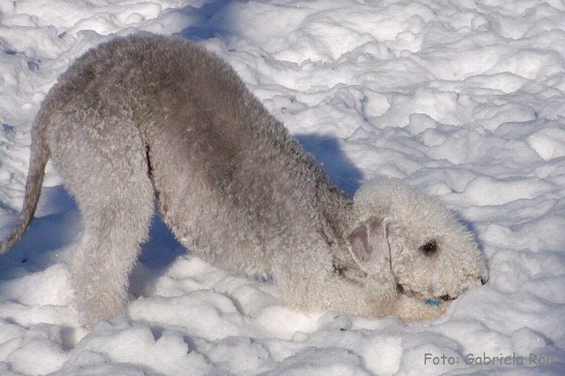 Quincy 2009-01-ß6 (5).JPG